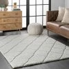 Hot Sale 🔥 nuLOOM Deloise Trellis Shag Area Rug 🎁