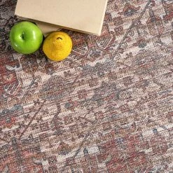 Flash Sale 🧨 nuLOOM Marilyn Machine Washable Distressed Persian Border Area Rug ✨ -nuLOOM Boutique 39f34ff9c11949708f58149a5896323d 829e8aa1 9f8f 4847 b6b8 09cb6b4b7266 1080x