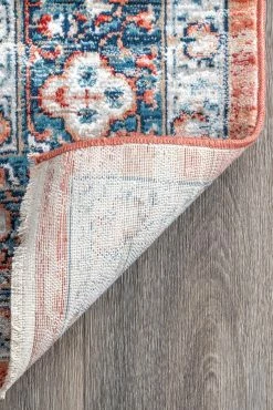 Cheap 👏 nuLOOM Zara Vintage Medallion Area Rug 🥰 -nuLOOM Boutique 791f93fbb2e24bc1a287475579a62525 1080x