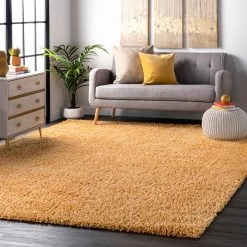 Best reviews of 🥰 nuLOOM Kara Solid Shag Area Rug 💯