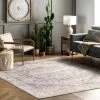Coupon 🎁 nuLOOM Brielle Machine Washable Vintage Medallion Area Rug 🛒 -nuLOOM Boutique dcc81c346ead485c80783d254cffd827 1080x