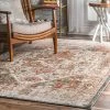 Outlet 💯 nuLOOM Justine Faded Vintage Medallion Area Rug ⌛