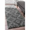 New 🤩 nuLOOM Iola Soft & Plush Shag Area Rug 🥰